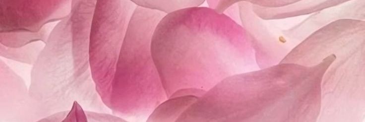 Blue. banner