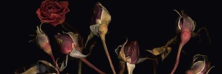 marie de cinc a sept banner