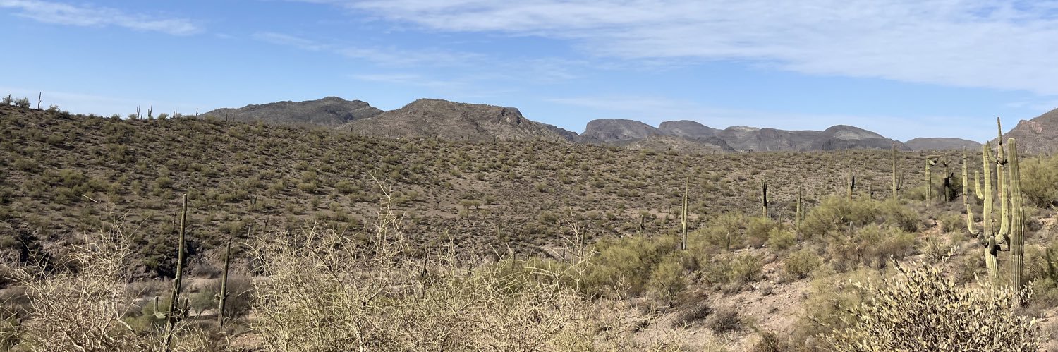 Maxwell Edison banner