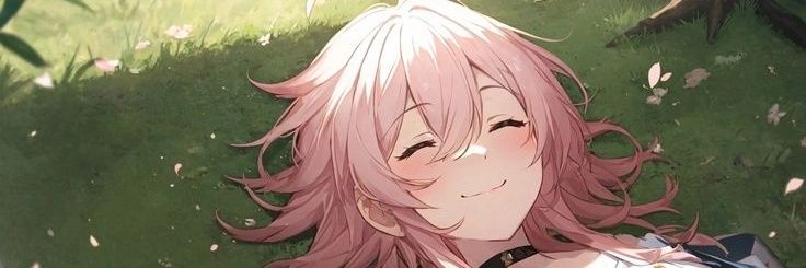 Sumi banner