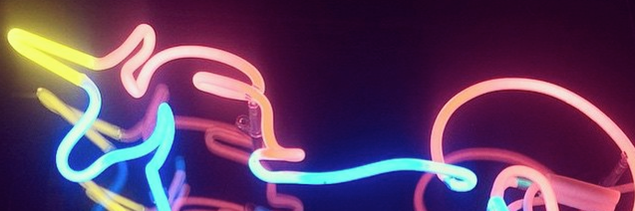bailaloly's profile banner image