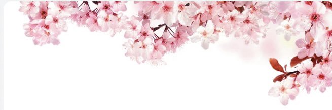 🌸桜子🌸's banner