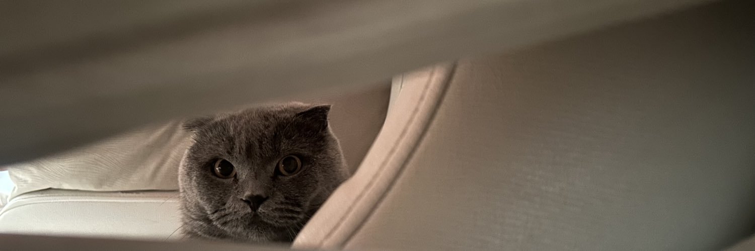 melisaoguzzz's profile banner image