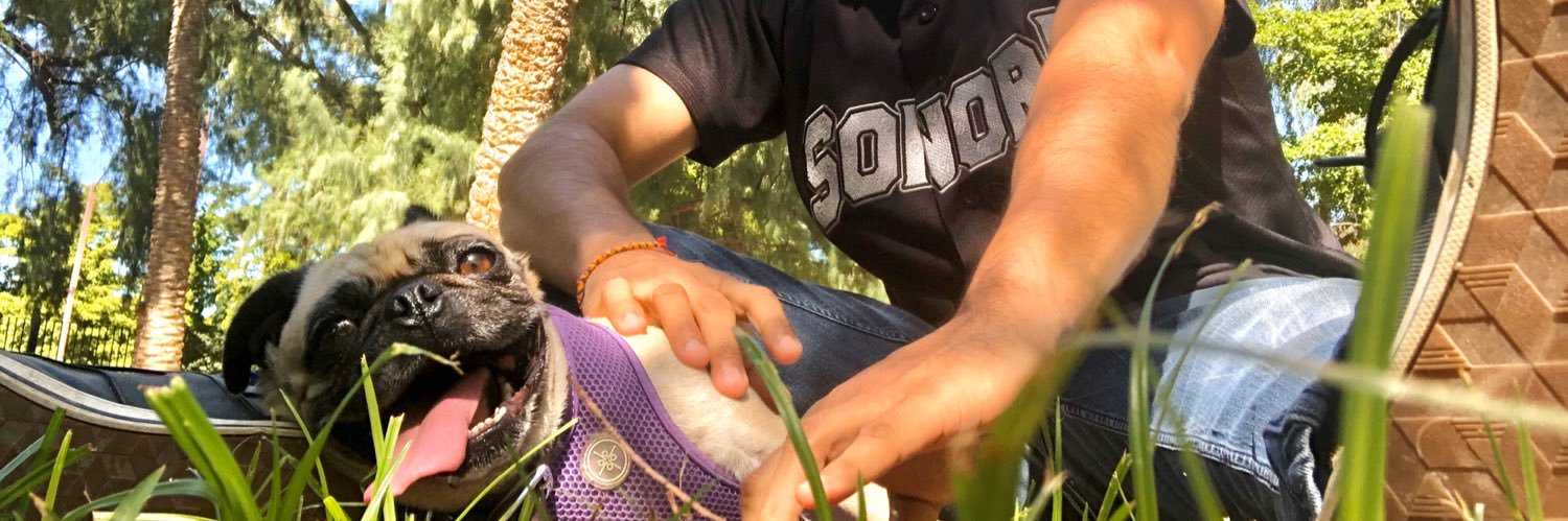 Felipe A. López banner