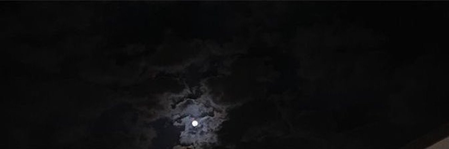 shoughamed's profile banner image