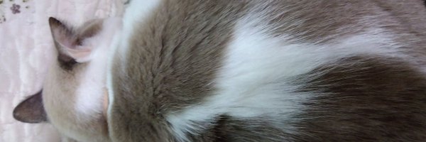 HQHwInqSl9PTpr1 Profile Banner