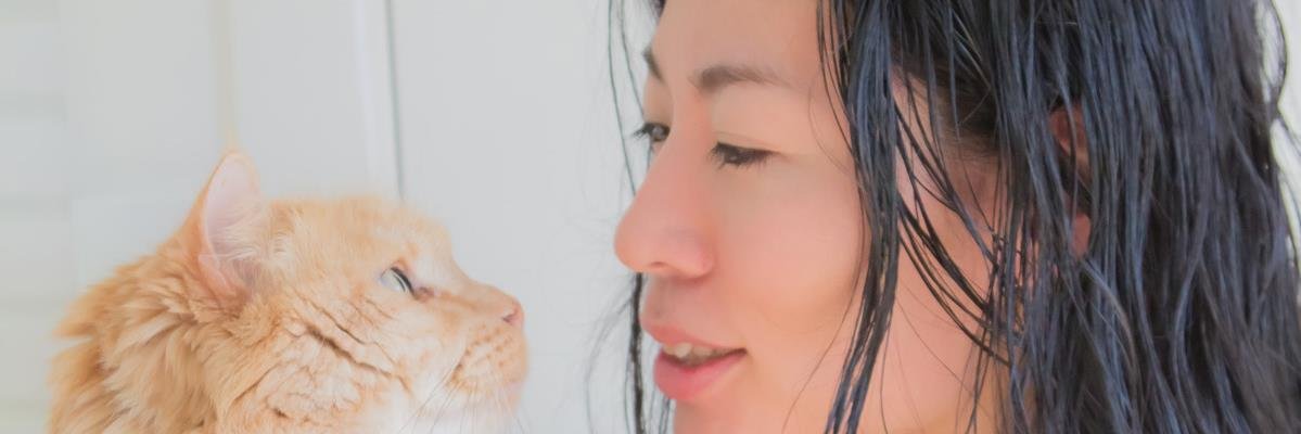 sash4884's profile banner image