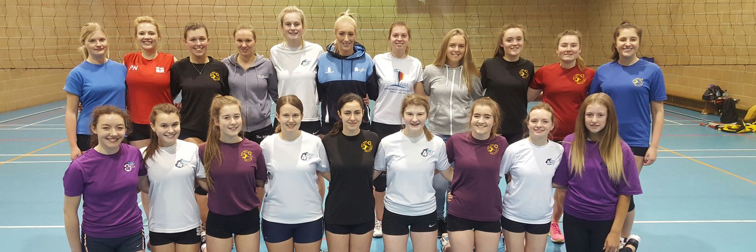 Ashfield Vipers banner