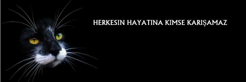 genceitimci's profile banner image