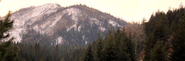 RealBroNat Profile Banner