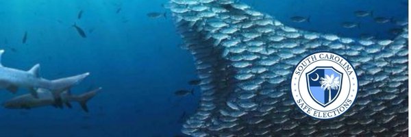 LauraScharr Profile Banner