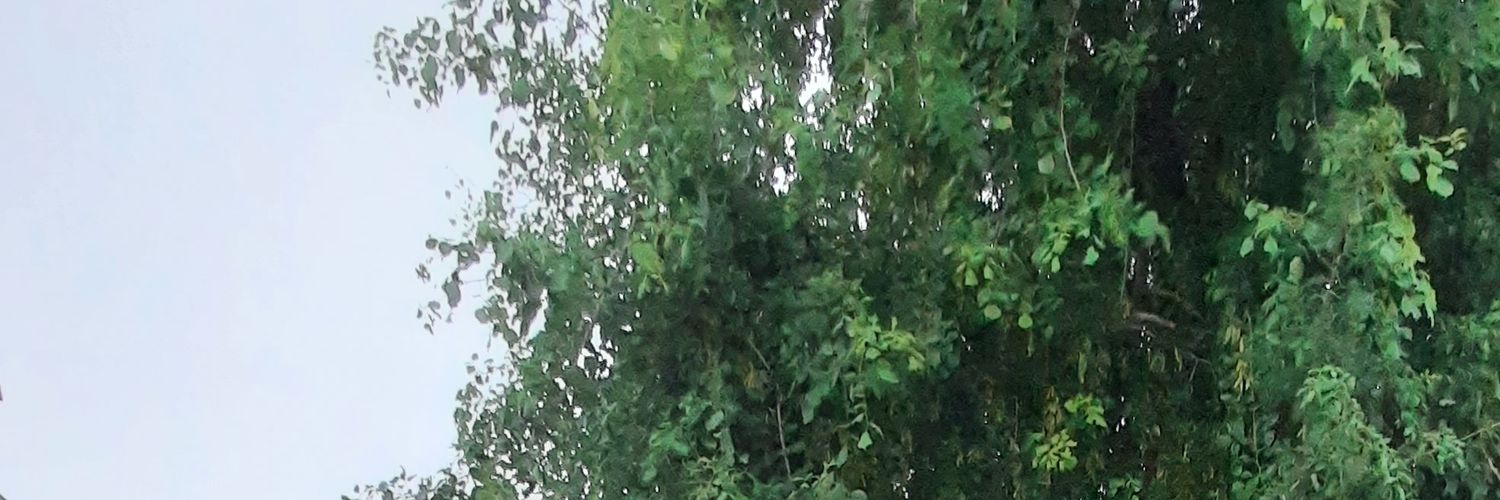 nitin yadav banner