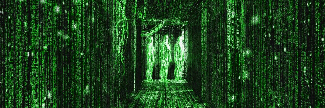 X LIBERAL SLAYER banner