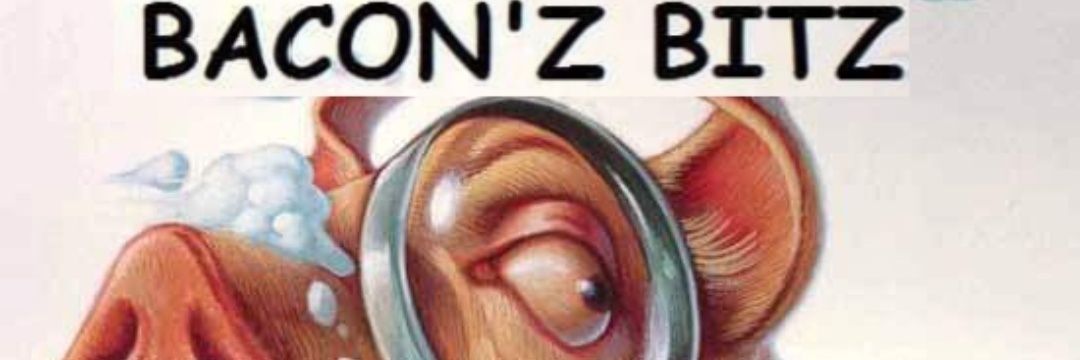 Bacon'z Bitz 🐷🔍's banner