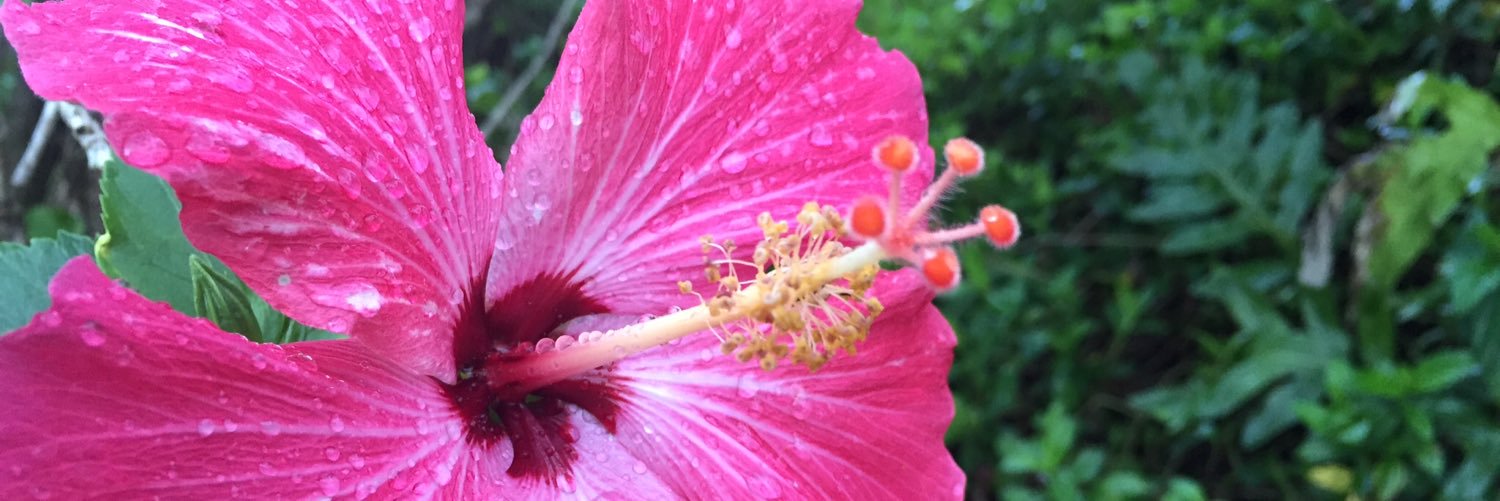 esanderson's profile banner image