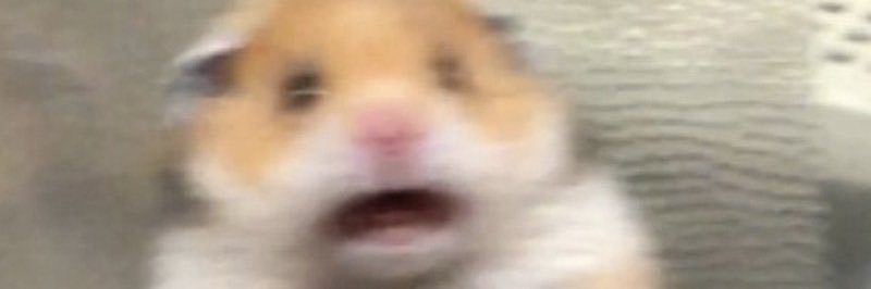 vvalleryy's profile banner image
