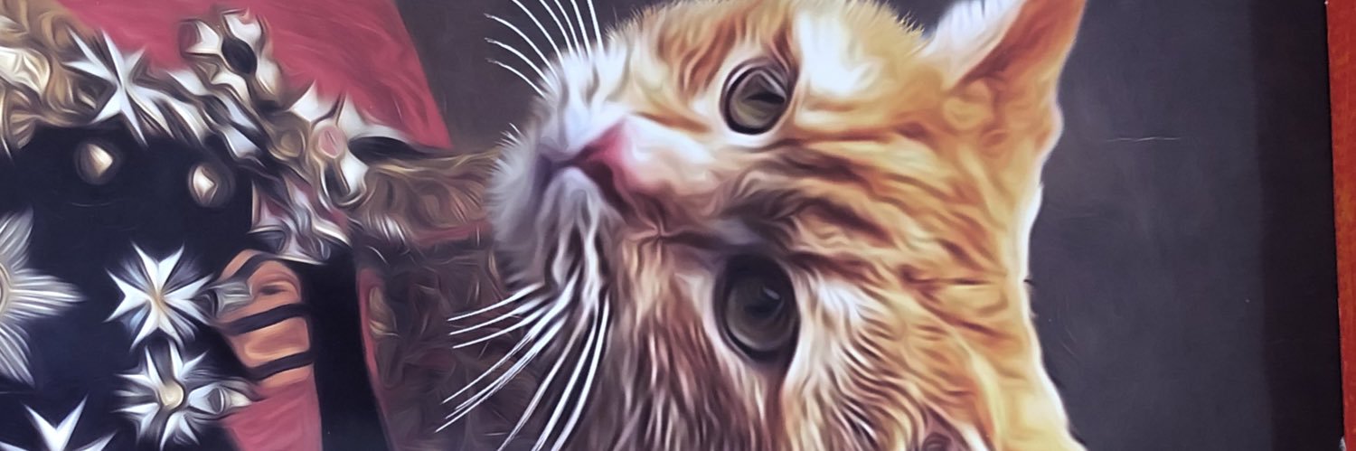 karolina_dro's profile banner image