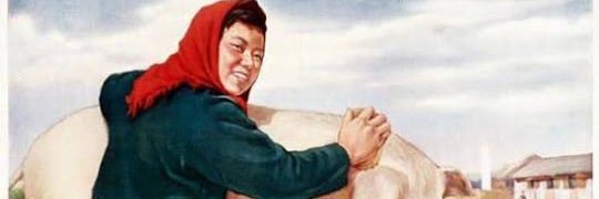 要把社里的猪养的又肥又大 banner