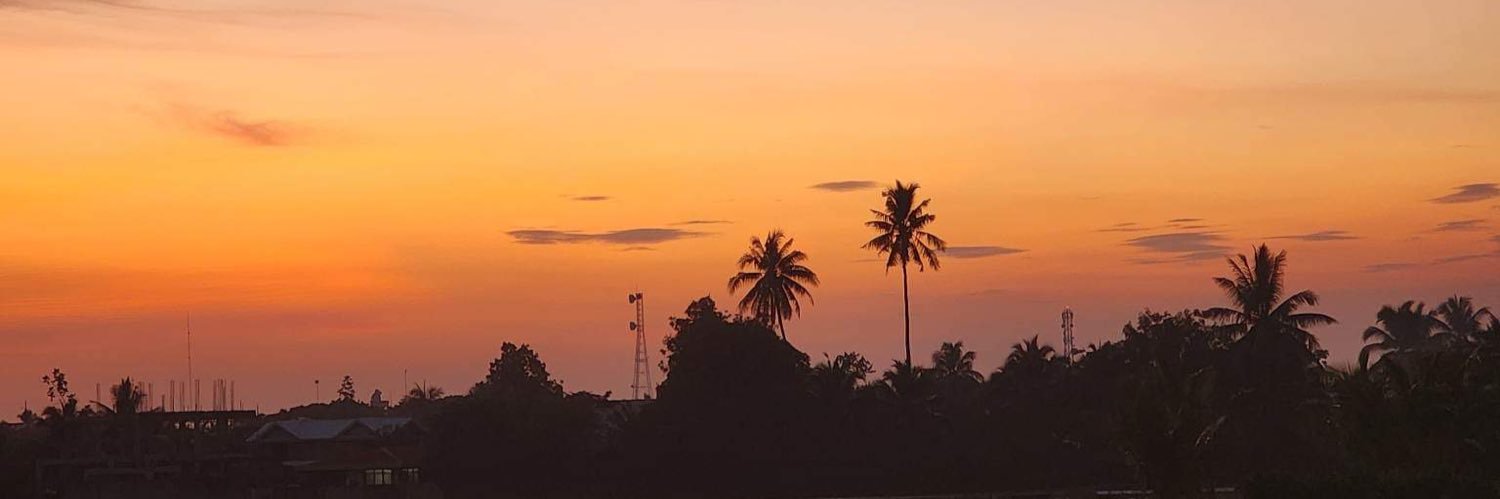 joyjoylatoy's profile banner image