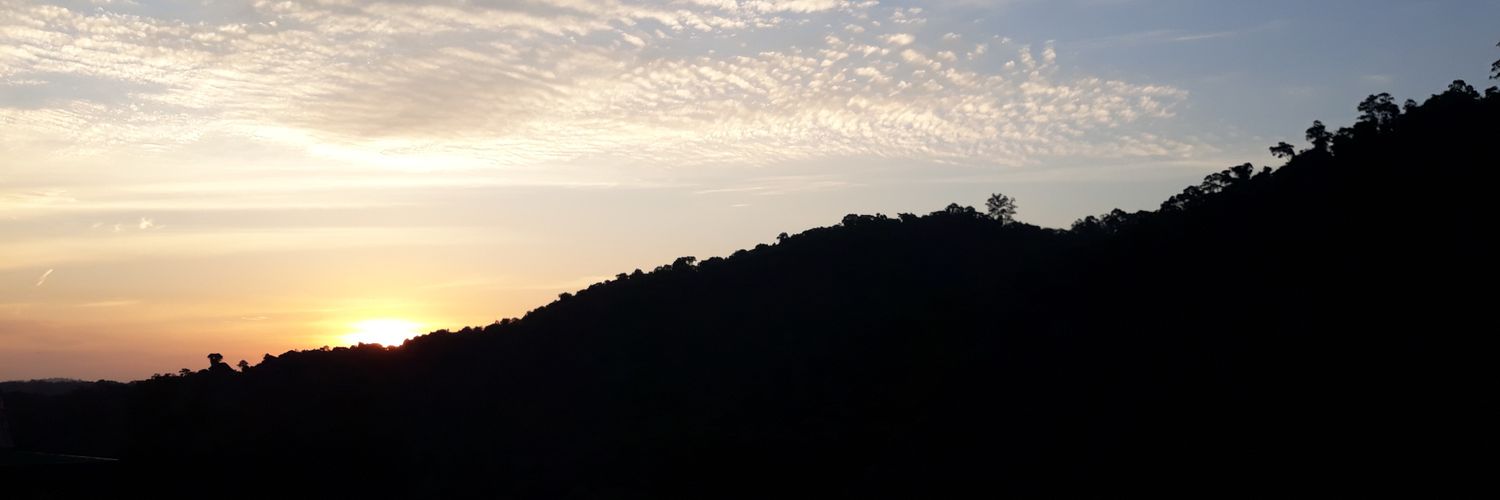 NahPupim's profile banner image