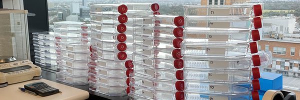 llydialim Profile Banner