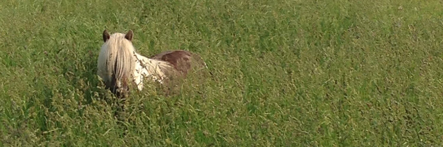 Heather Loree banner