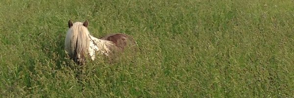 loreescience Profile Banner