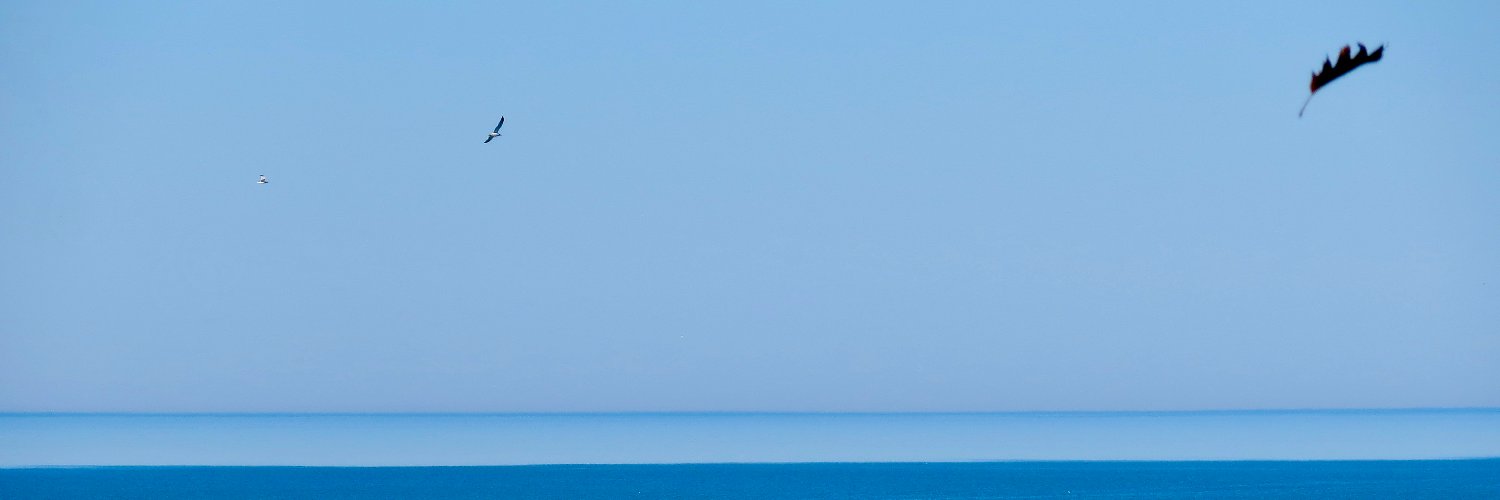 DonReed's profile banner image