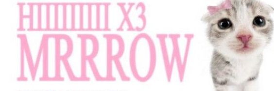 tatann wony banner