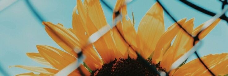 nnfrhn's profile banner image