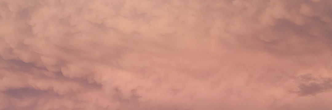 lela0391's profile banner image