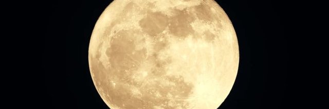 MerrittGarris18's profile banner image