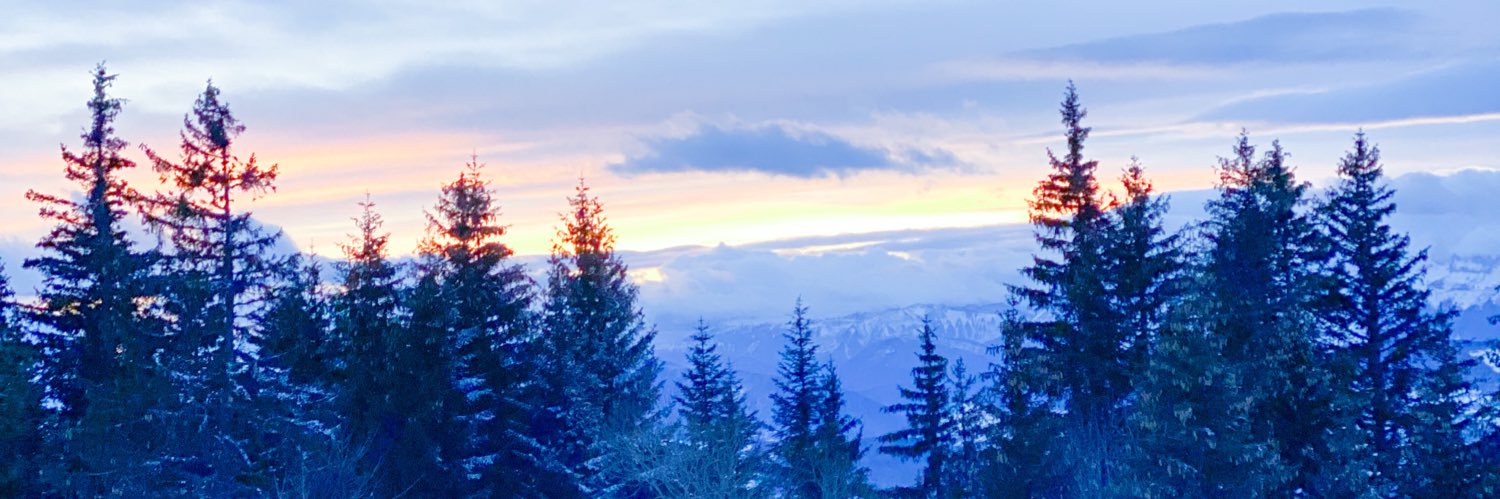 Saarahxs's profile banner image