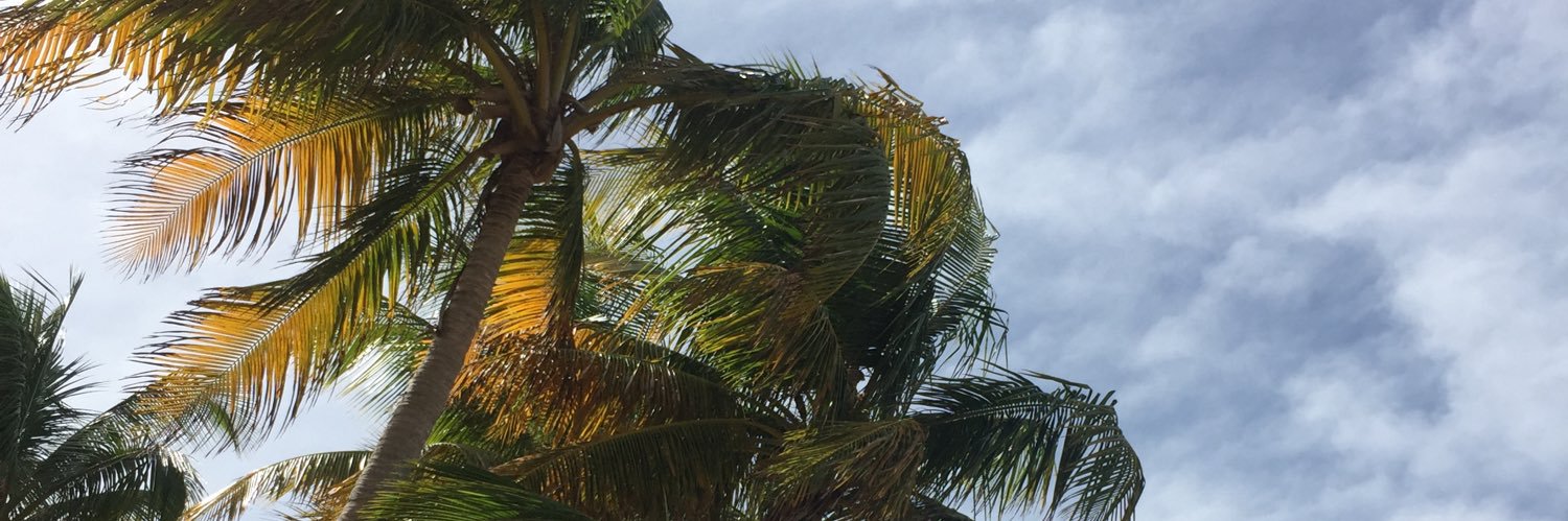 LuzsharaColas's profile banner image
