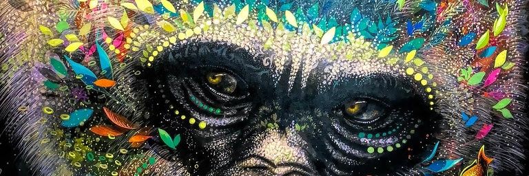 AdelSalomon's profile banner image