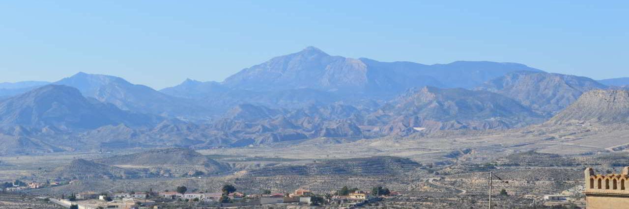 César Beviá banner