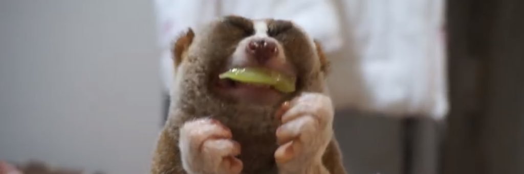 nabechoro9___'s profile banner image