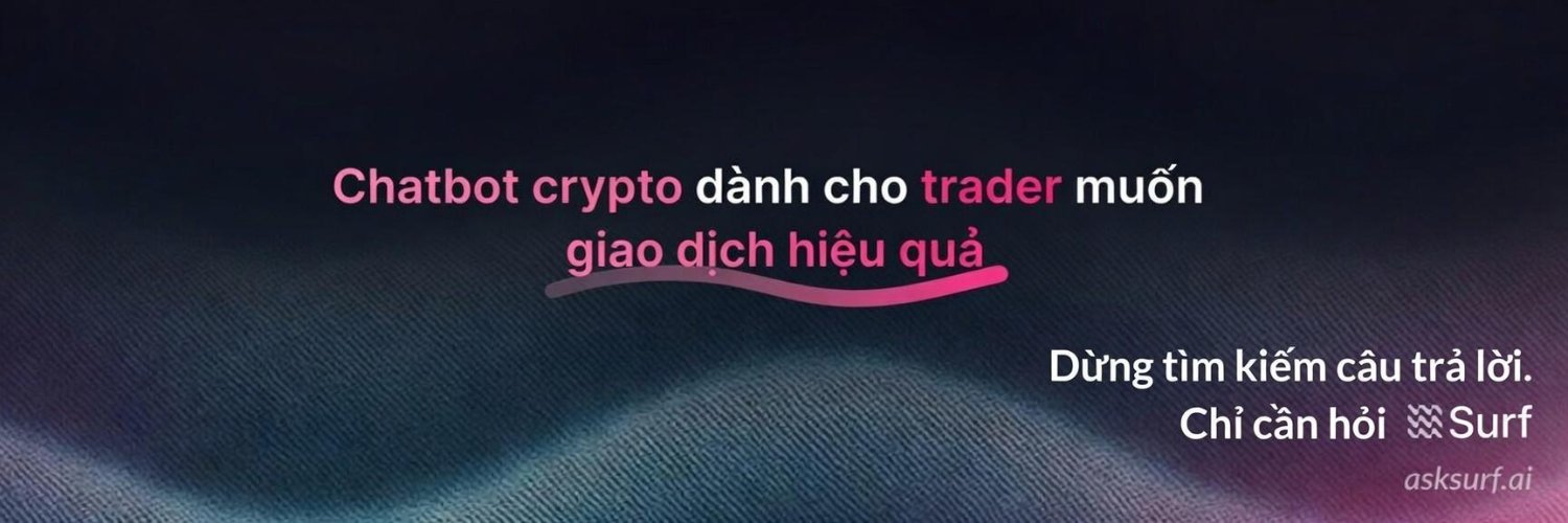 🇻🇳 Surf Việt Nam 🇻🇳 banner