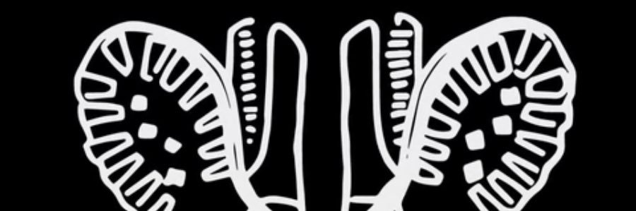 Boots & Braces banner