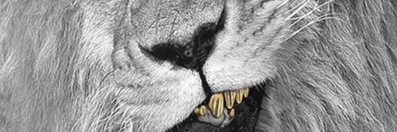 reid_tray's profile banner image