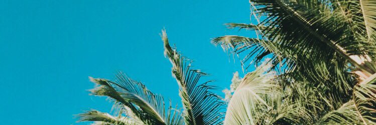 gillyxo's profile banner image