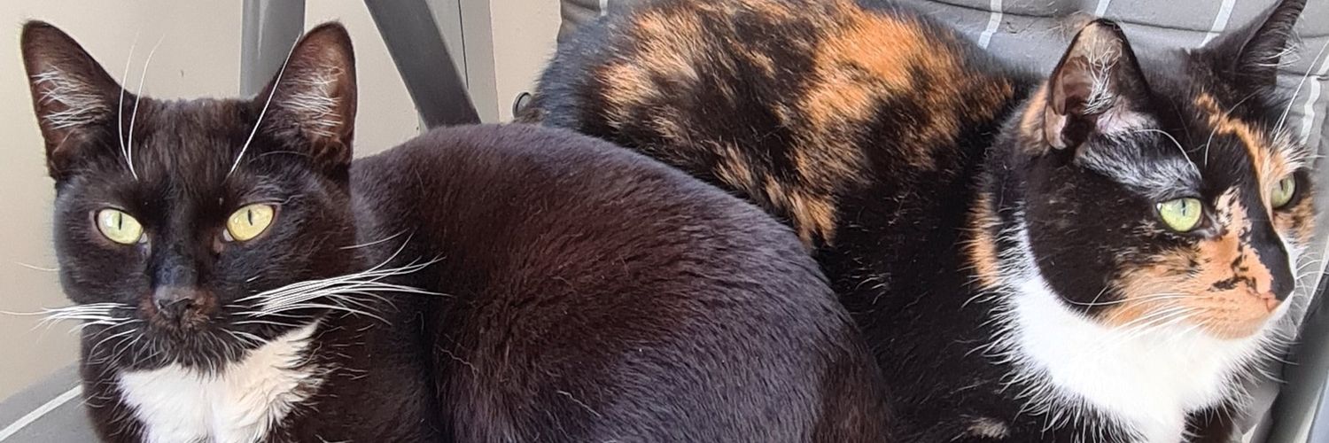 Delpiize's profile banner image