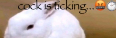 _houseofhorrors's profile banner image