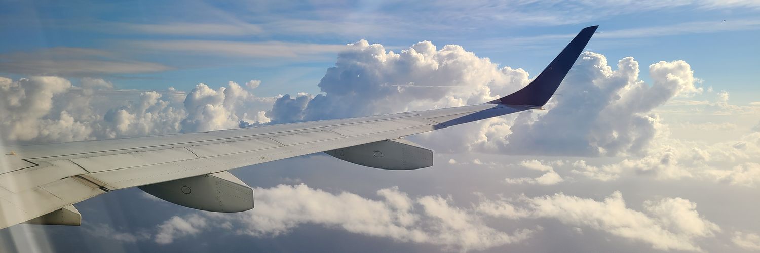 bluewingwalker's profile banner image