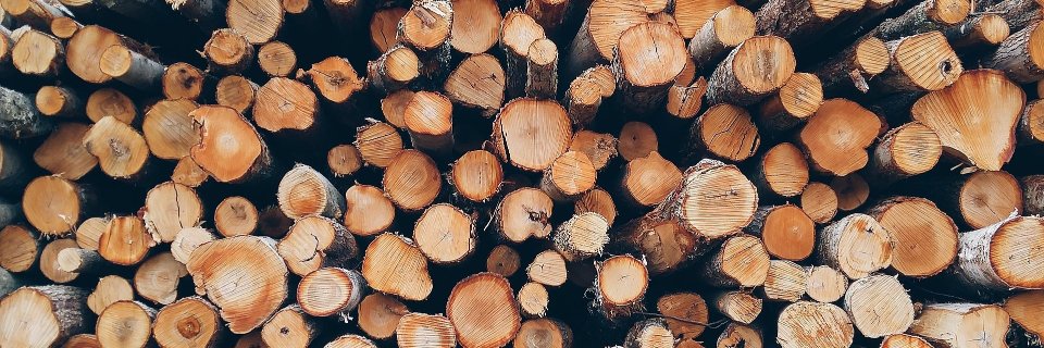 FocusOnForestryFirst banner