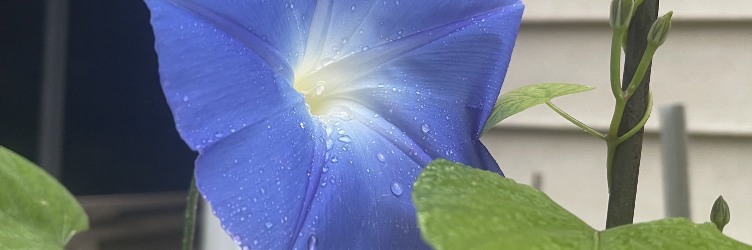Joe53130765's profile banner image