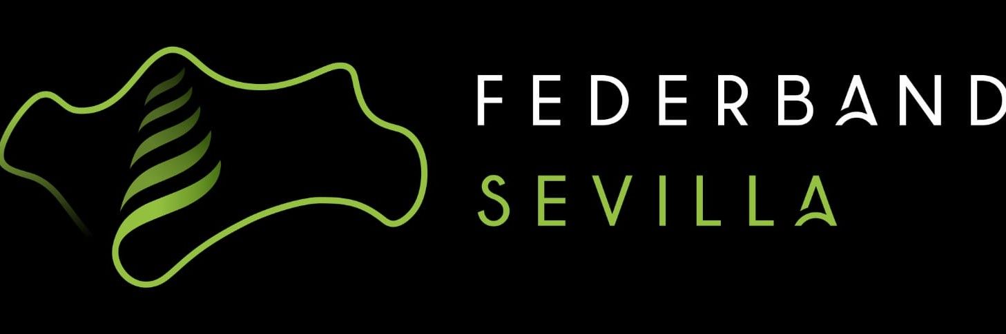FederbandSev's profile banner image