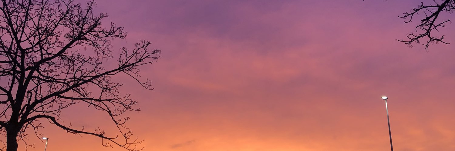 Sandra Lorenzana Jabares banner