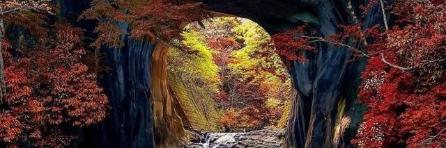 Cisseskillz Global Enterprise banner