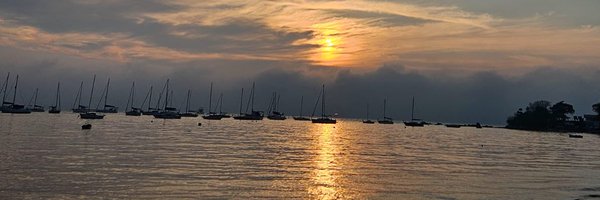 Andreaplfreitas Profile Banner